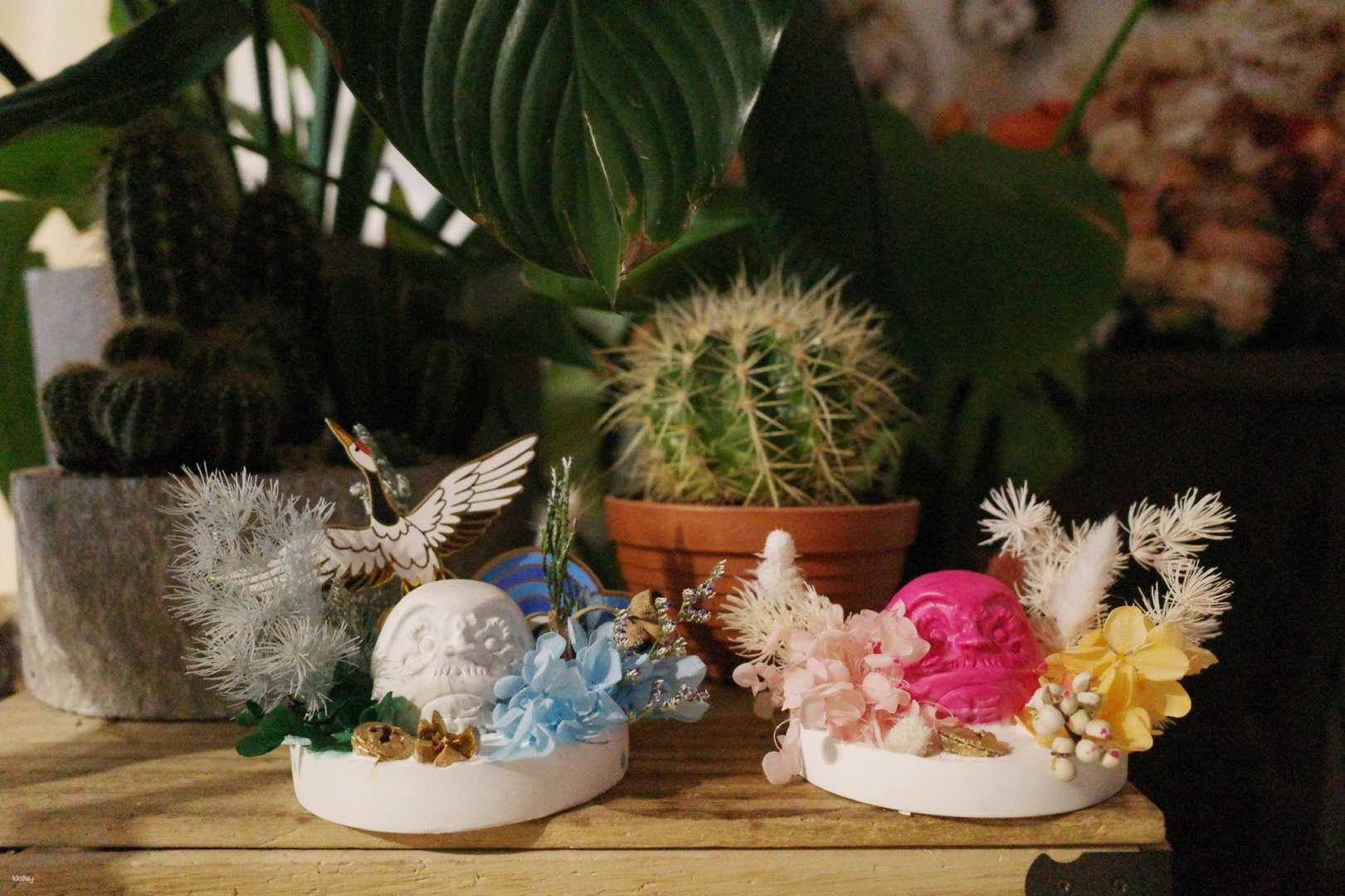 【Kwun Tong Must-Visit】Aroma Stone Daruma|Myosotis.flower - Photo 1 of 3